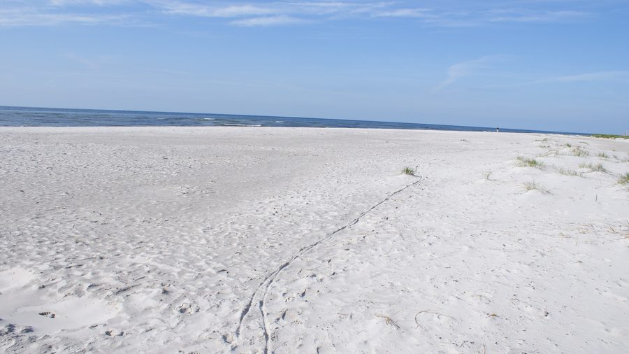 Heller Sandstrand von Dueodde nahe Nexø im Südosten Bornholms