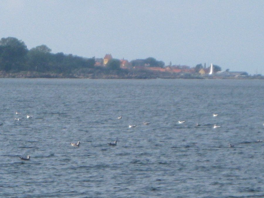 Allinge-Sandvig an Bornholms Nordküste