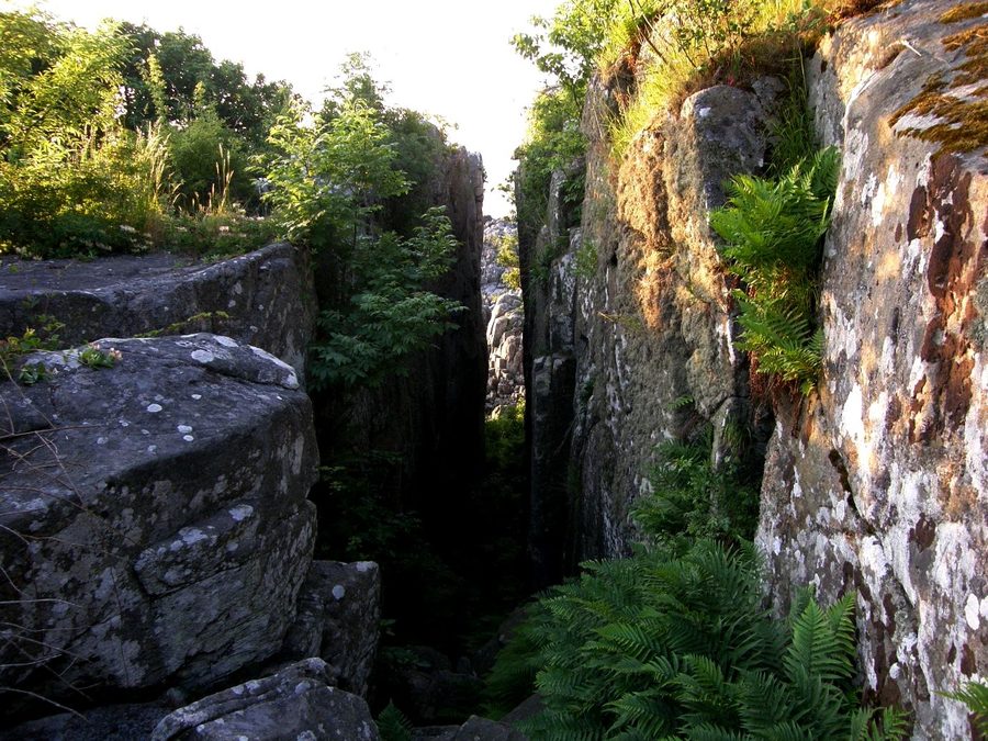 Felsspalte von Randkløve Skår auf Bornholm