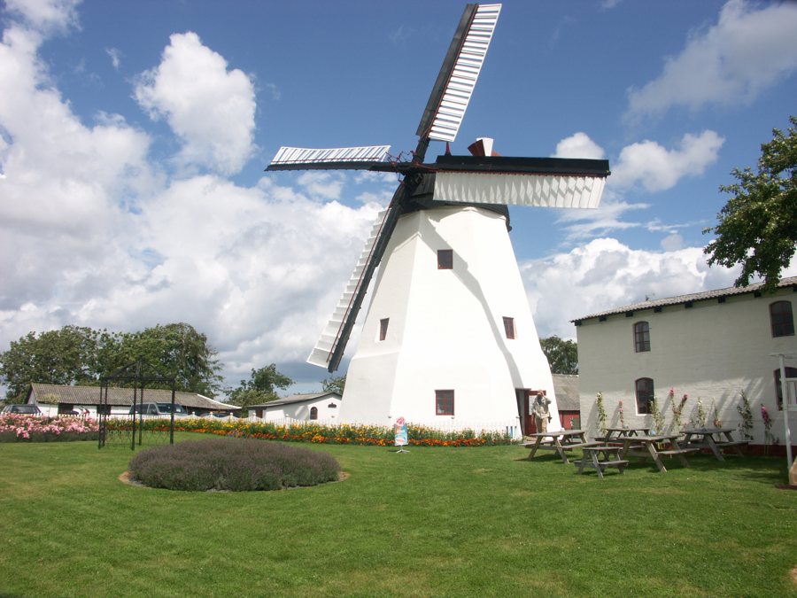 Historische Windmühle auf Bornholm inmitten eines blühenden Gartens
