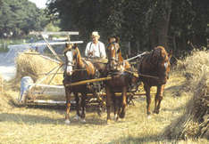 Melstedgard-Museum (Foto: Destination Bornholm)