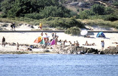 Strand bei Allinge-Sandvig auf der Insel Bornholm (Foto: Destination Bornholm)