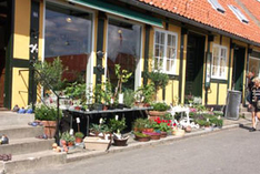 Bryghus in Svaneke auf der Insel Bornholm (Foto: Hans-Jürgen Lenk)
