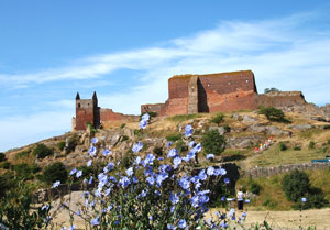 Musikfestivals Bornholm 2010