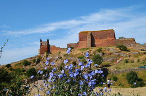 Festivals Insel Bornholm